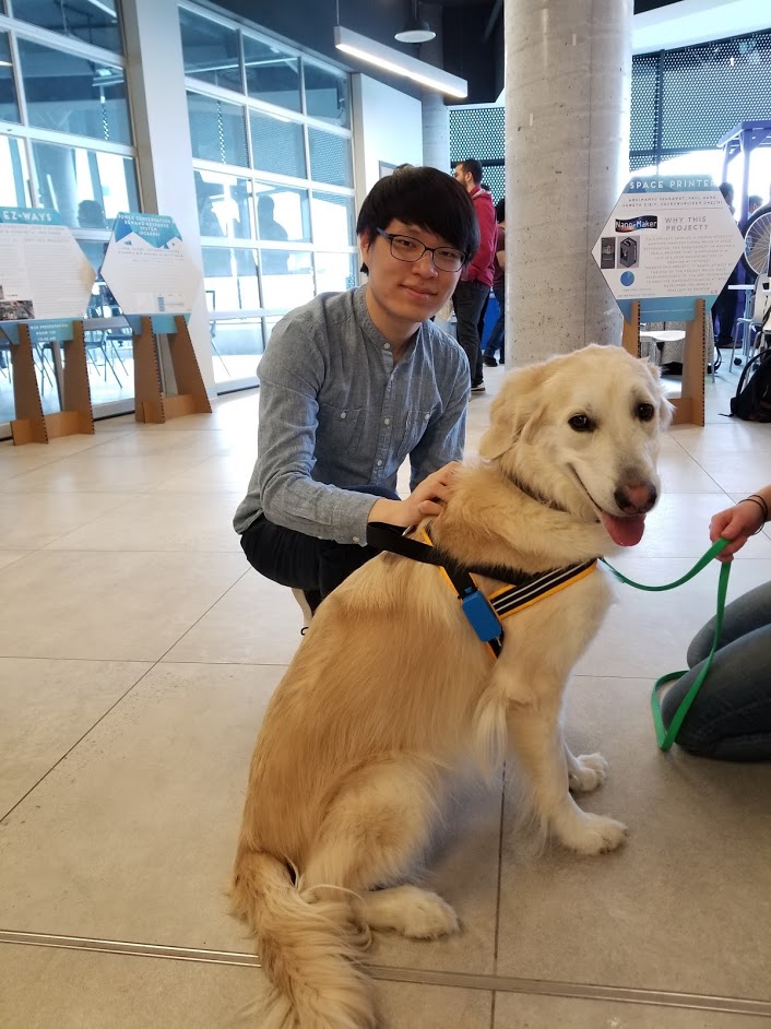 Dog with activity level tracker beside myself