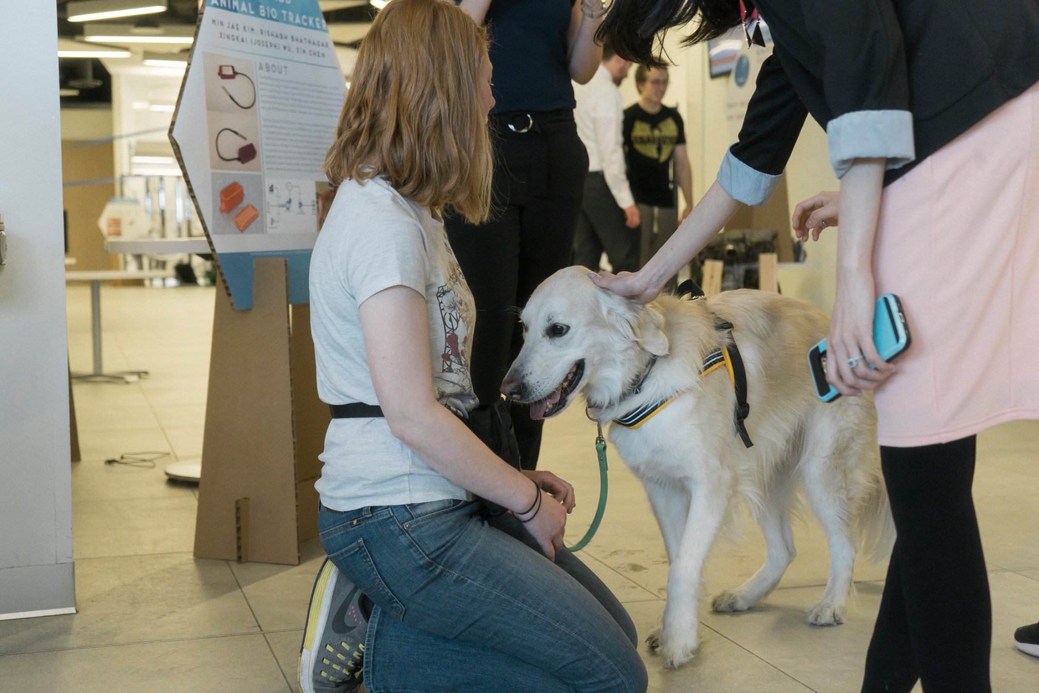 Dog wearing activity level tracker beside its owner